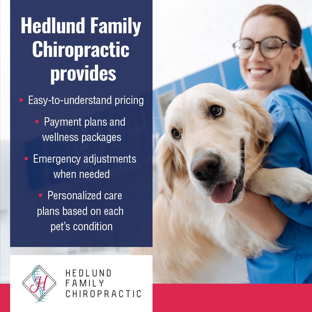 A smiling veterinarian in scrubs holds a happy golden retriever, illustrating the pet care services at Hedlund Family Chiropractic. Text highlights easy-to-understand pricing, payment plans, wellness packages, emergency adjustments, and personalized care plans for pets.