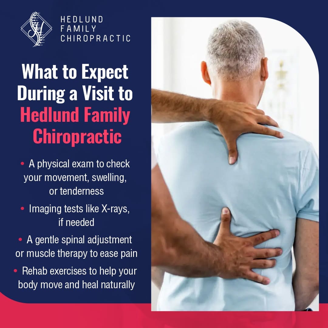 A chiropractor adjusts the back of a male patient, illustrating the services offered at Hedlund Family Chiropractic. Text outlines a physical exam, imaging tests, spinal adjustments, and rehab exercises.